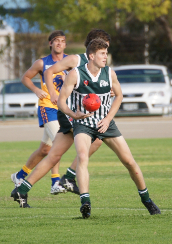 vLions020515 31