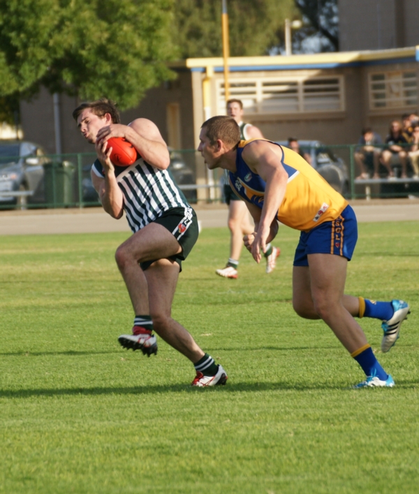 vLions020515 33