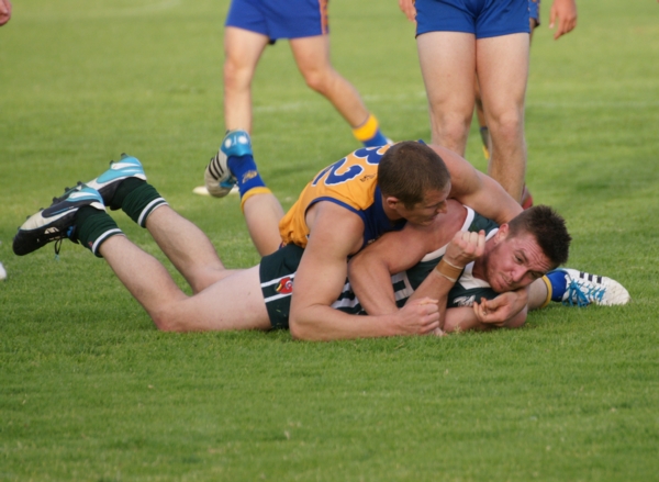 vLions020515 35