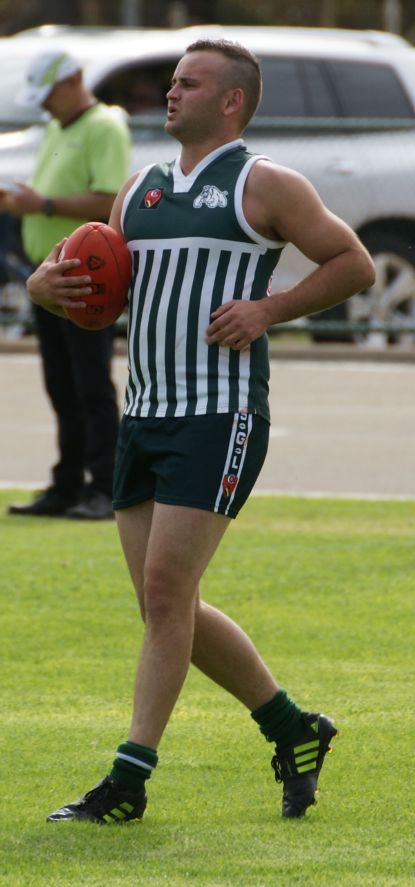 vLions020515 4