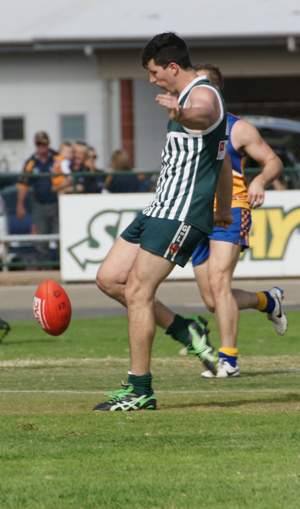 vLions020515 5