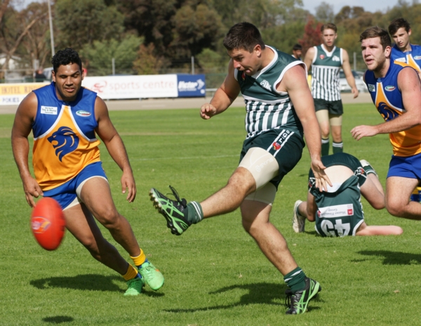 vLions020515 6