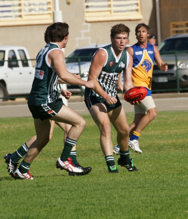 vLions020515 7