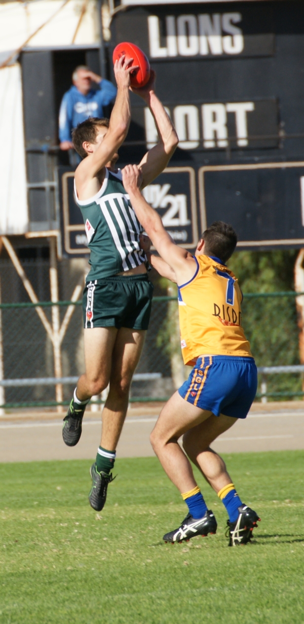 vLions020515 8