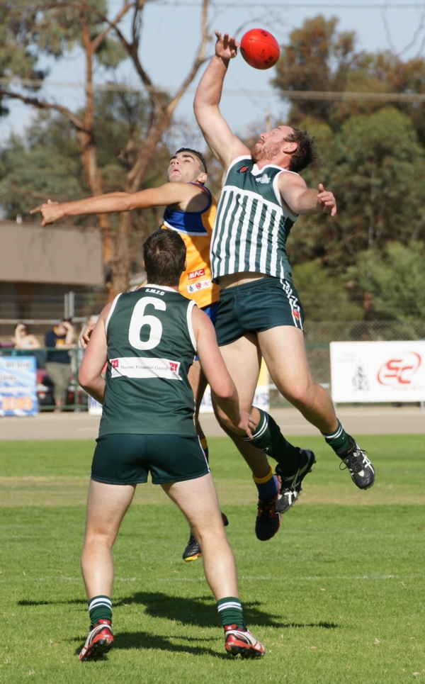vLions020515 9