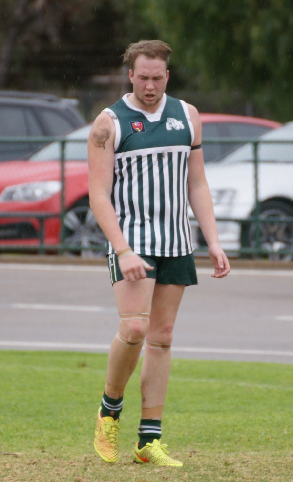 vLions140615 1