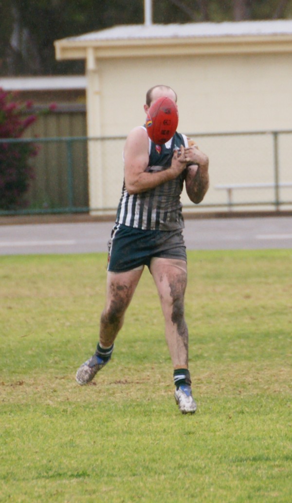 vLions140615 10