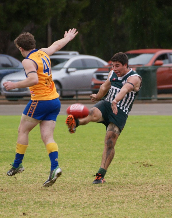 vLions140615 13