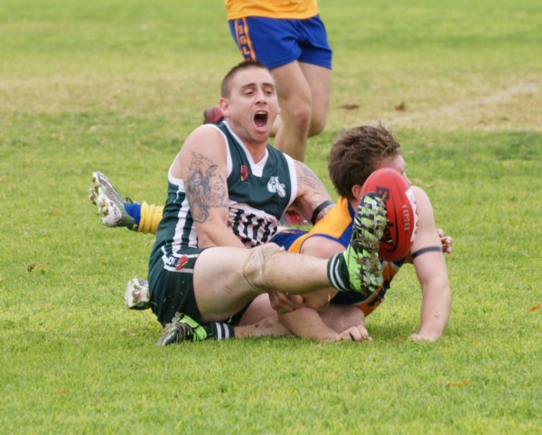 vLions140615 18
