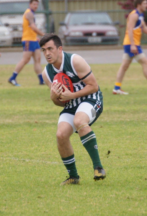 vLions140615 2