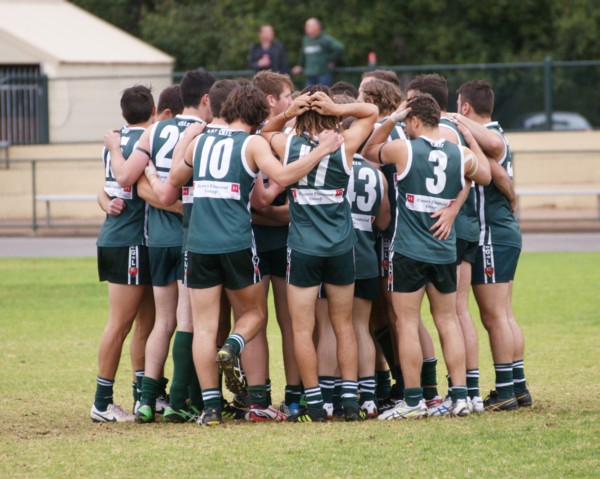 vLions140615 21