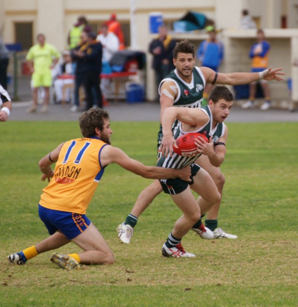 vLions140615 22