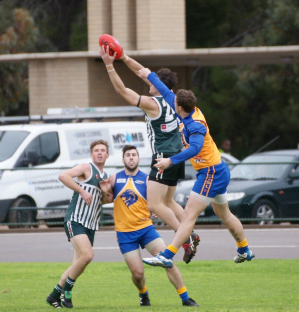 vLions140615 23