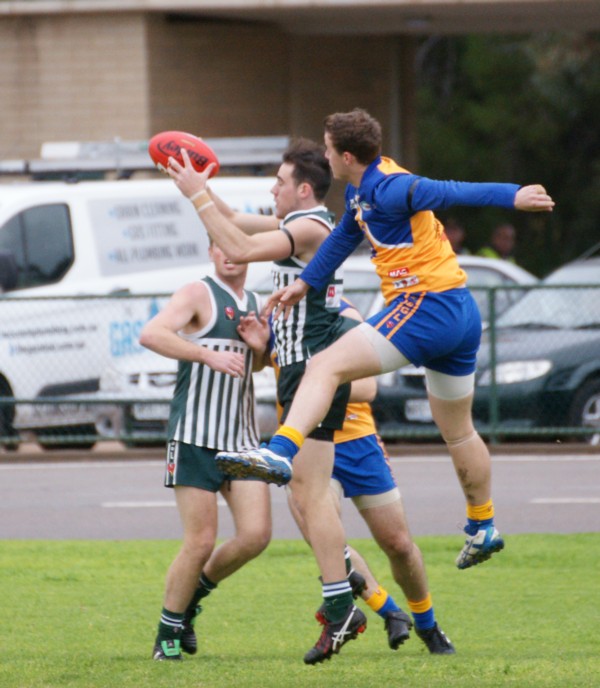 vLions140615 24