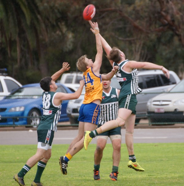 vLions140615 3