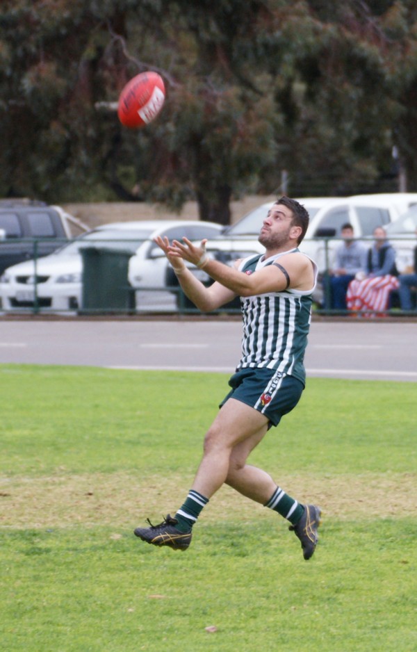 vLions140615 33