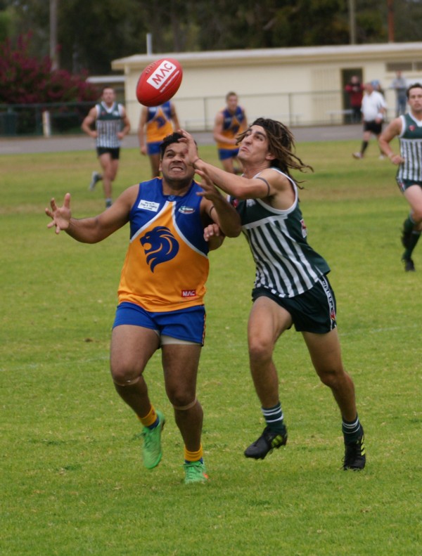 vLions140615 35