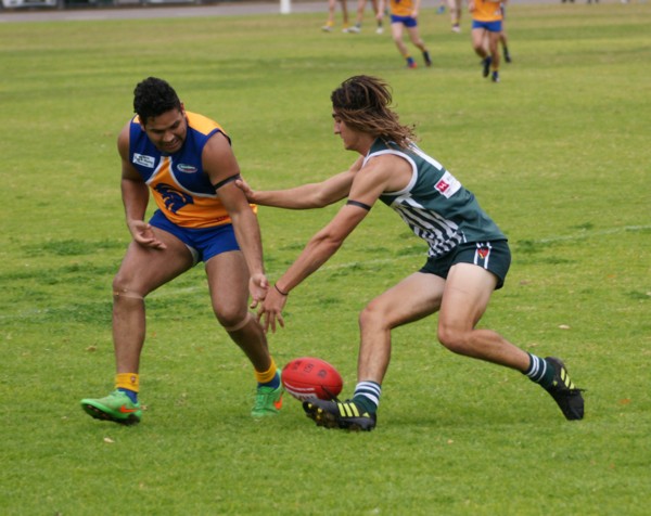 vLions140615 36