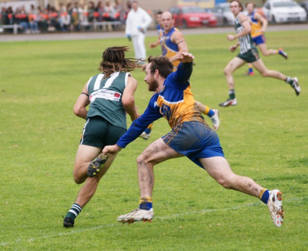 vLions140615 37