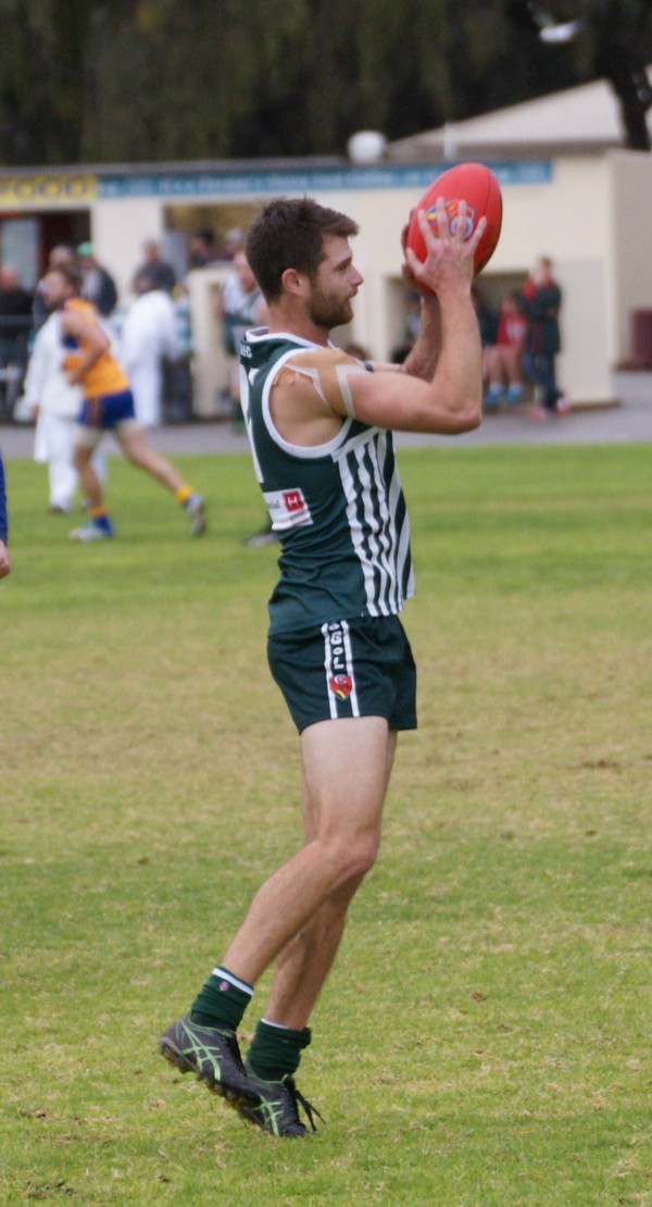 vLions140615 38