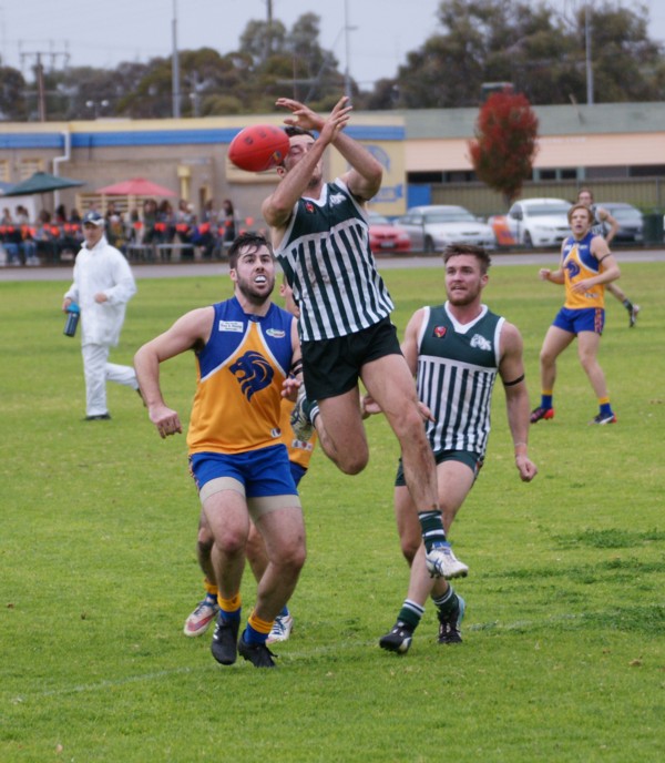 vLions140615 39