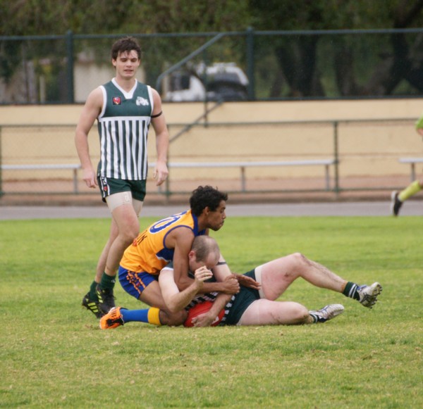 vLions140615 4
