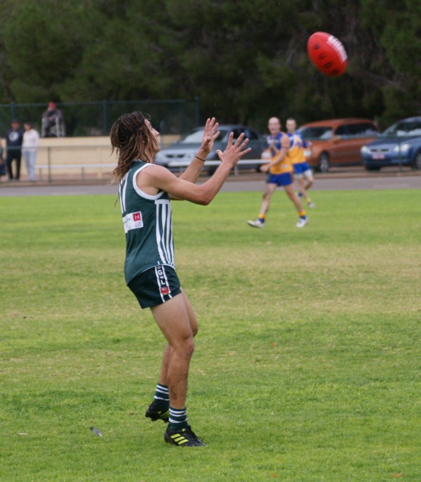 vLions140615 41