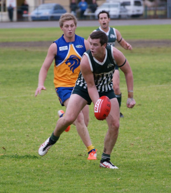vLions140615 43