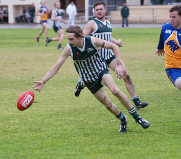 vLions140615 44