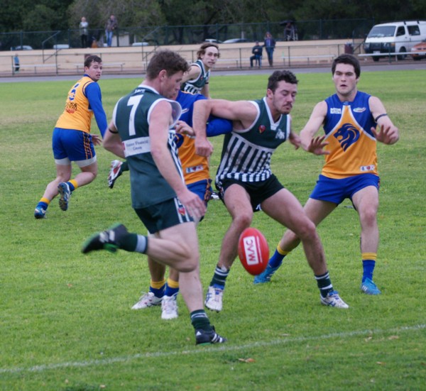vLions140615 45