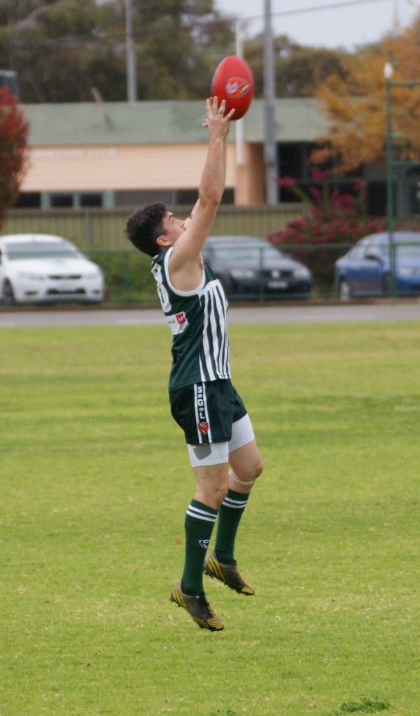vLions140615 7