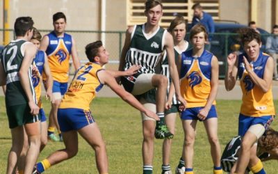 Photos V Lions 25th July 2015