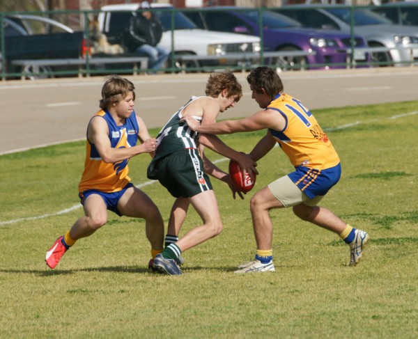 vLions250715 14