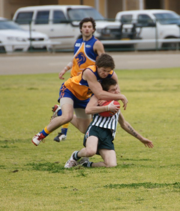 vLions250715 17