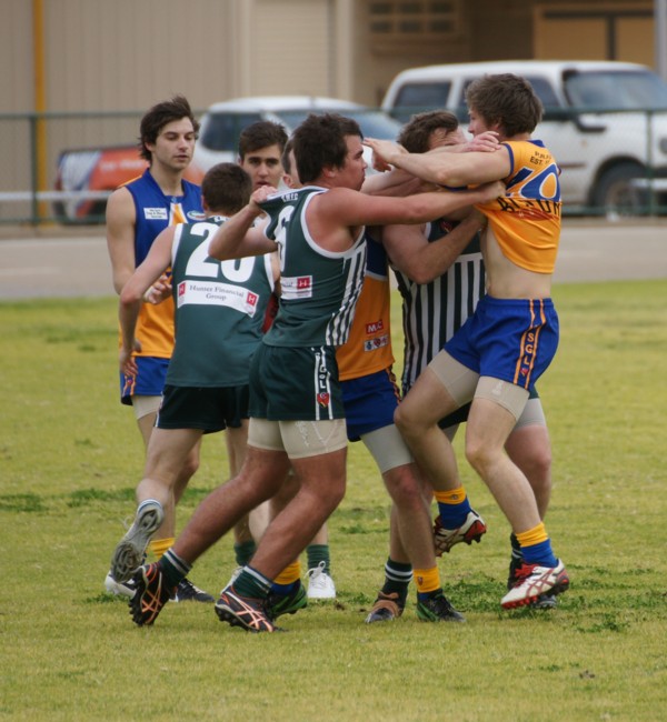 vLions250715 19