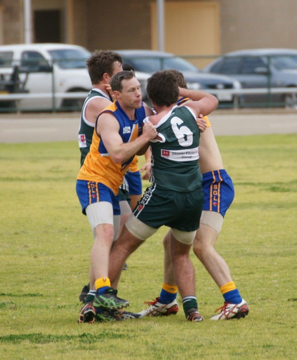 vLions250715 20