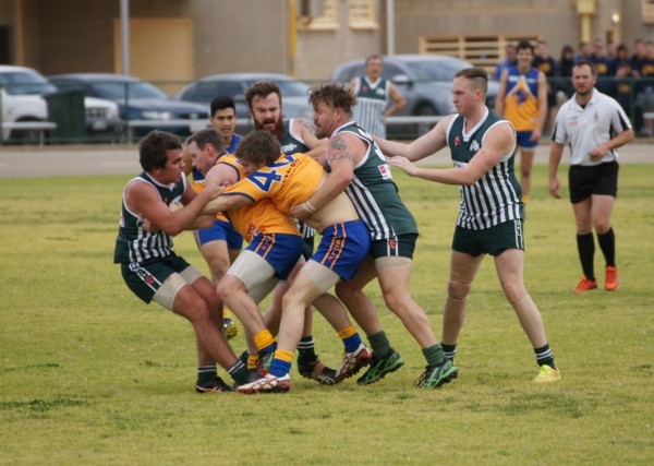 vLions250715 21