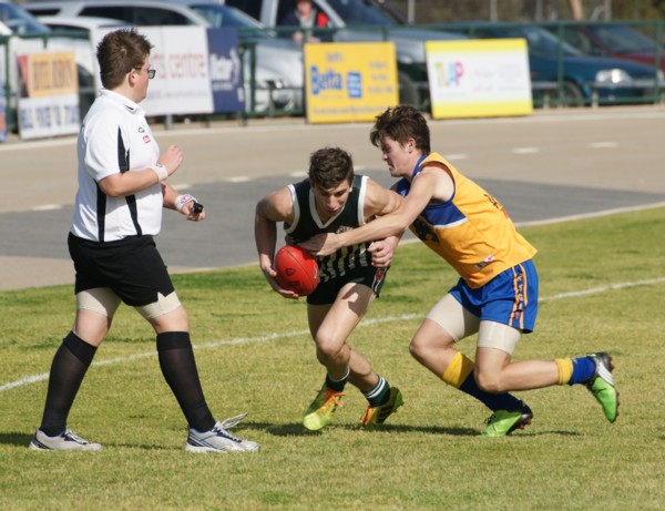 vLions250715 3