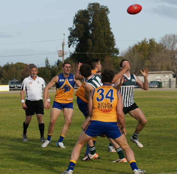 vLions250715 35
