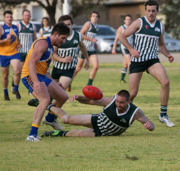 vLions250715 39