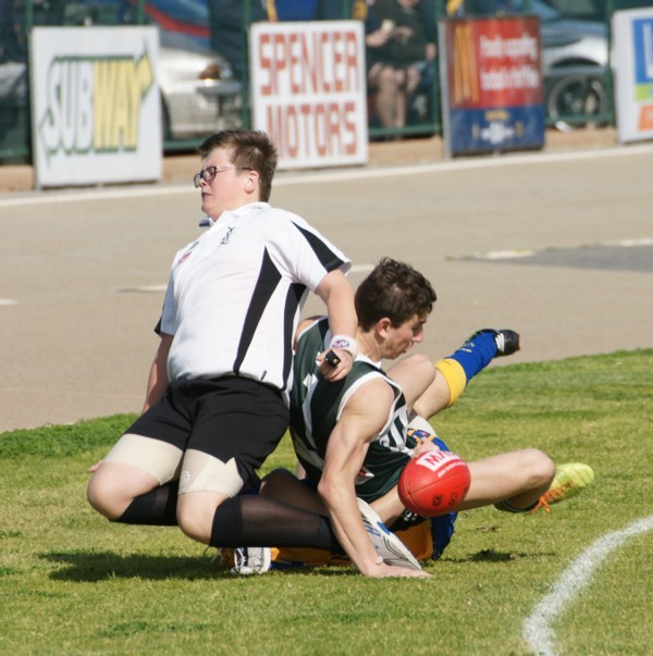 vLions250715 4