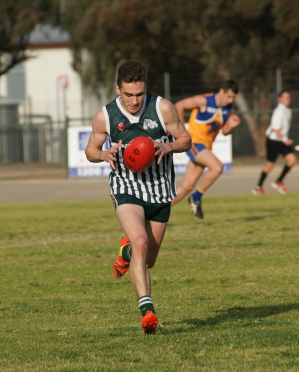 vLions250715 44