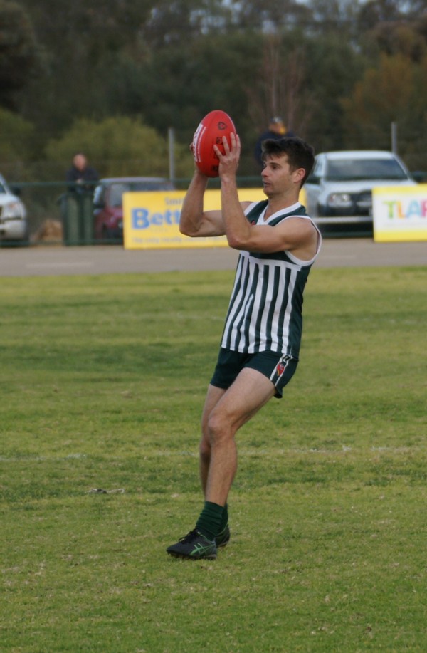 vLions250715 45