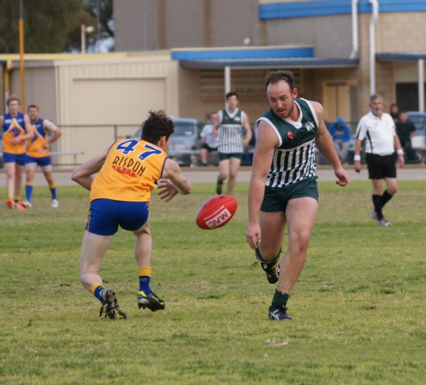 vLions250715 48