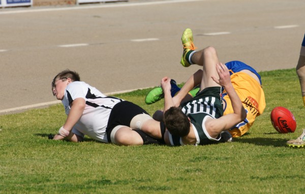 vLions250715 5