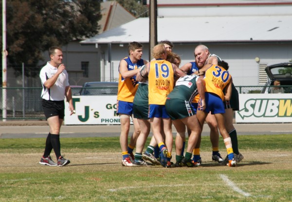 vLions290815 1