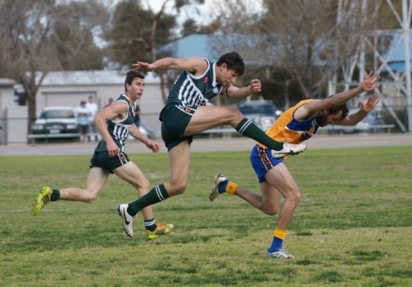 vLions290815 12