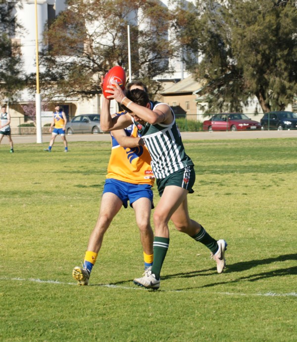 vLions290815 21