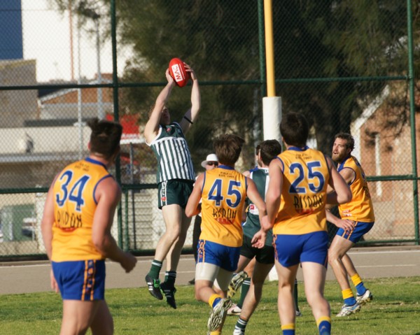 vLions290815 23