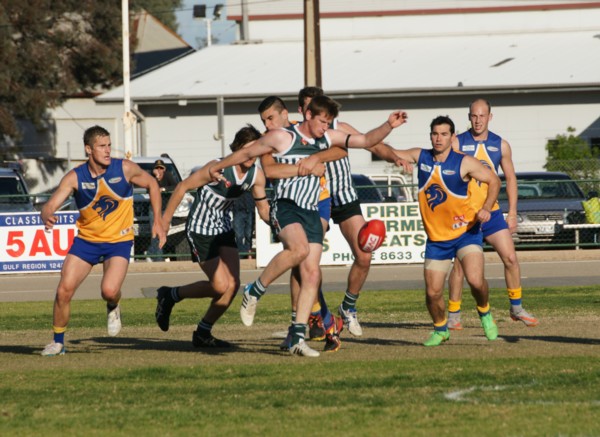 vLions290815 28